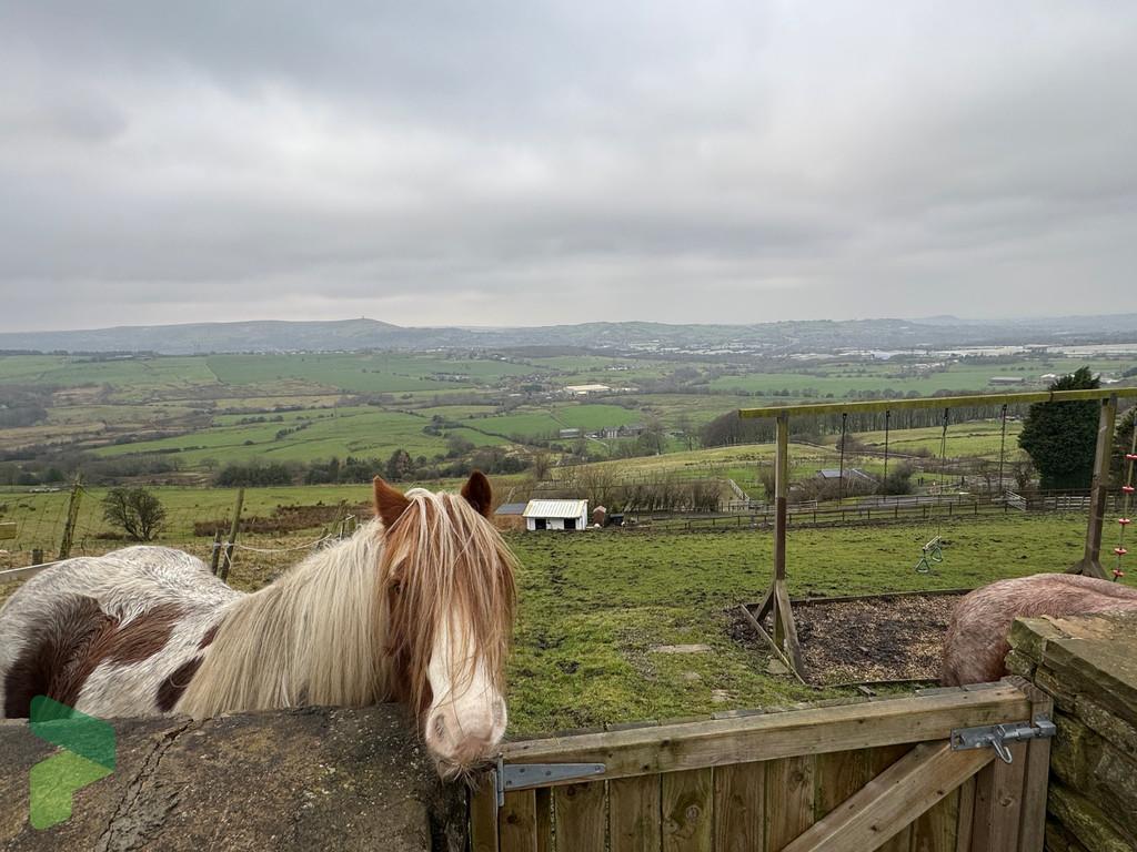 View from rear of property