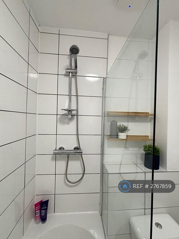 Thermostatic Shower
