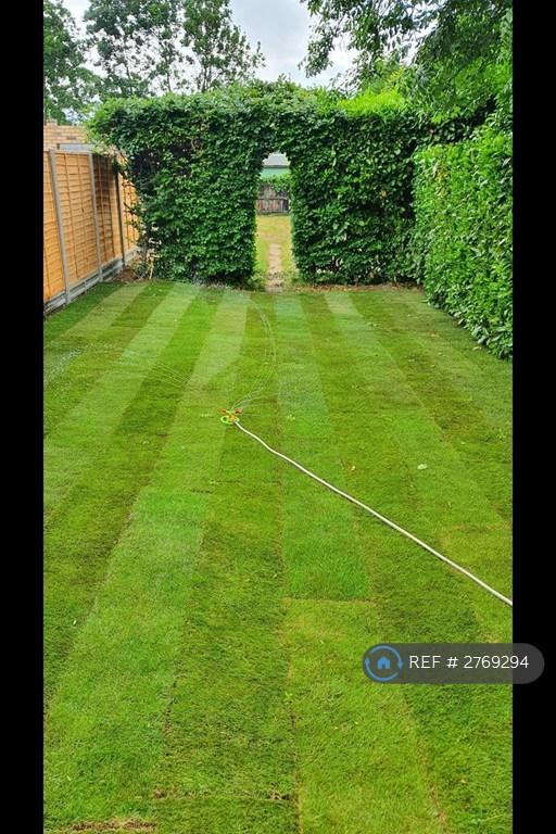 Rear Garden 1
