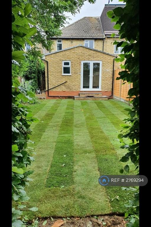 Rear Garden 2
