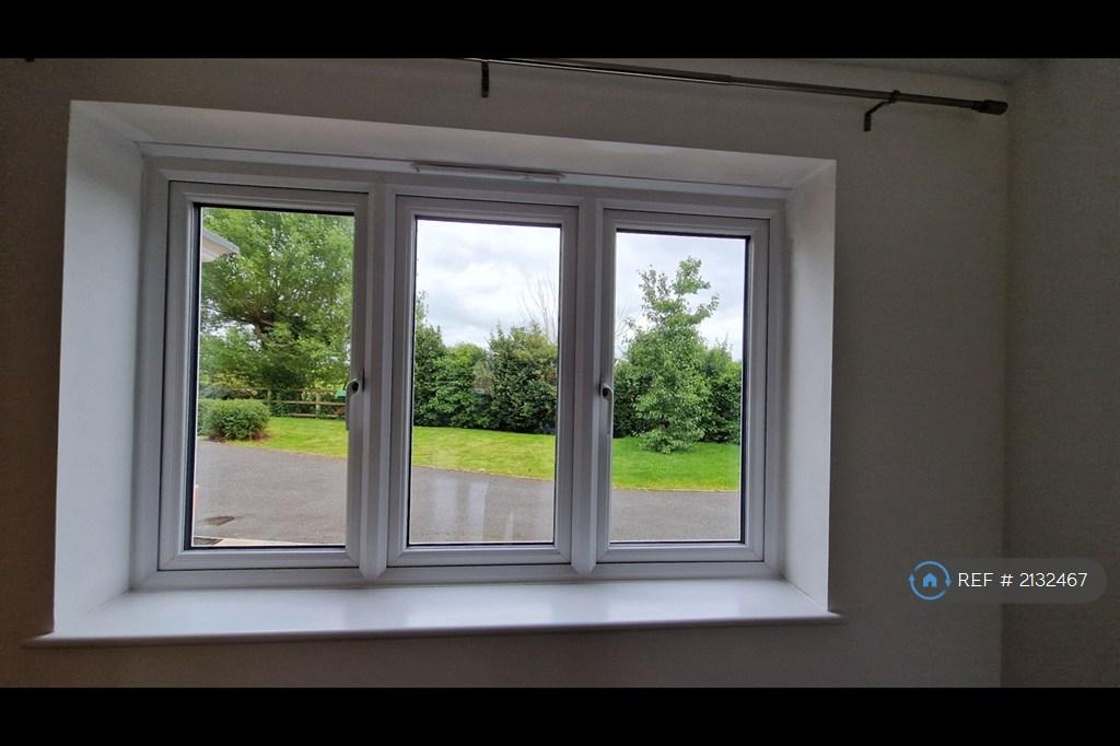 View From Living Room