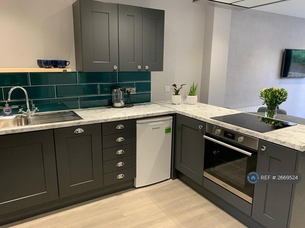 Modern Kitchen