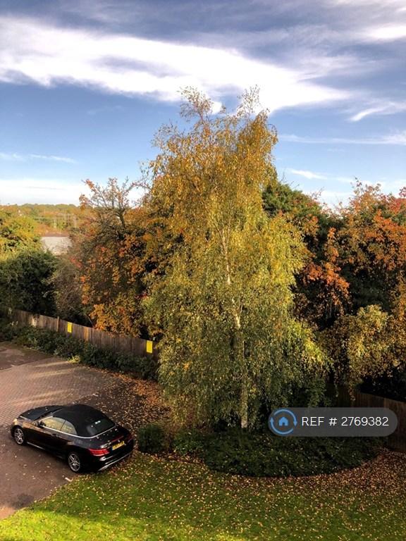 View From Lounge