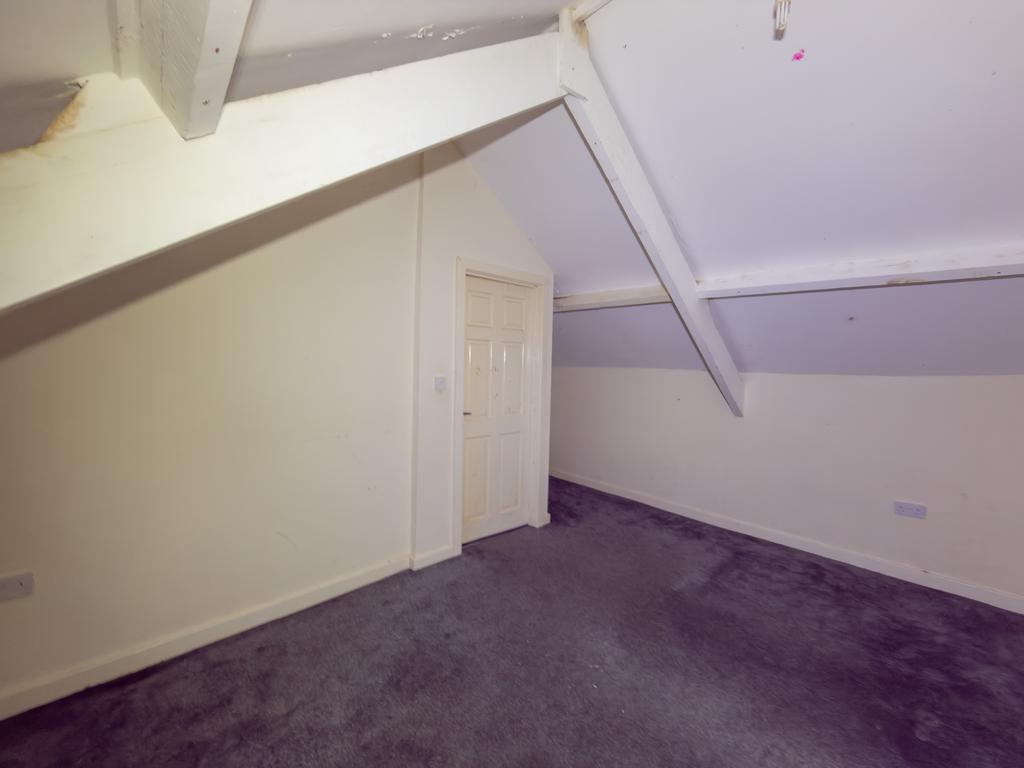 IMG 1169 T202601251335.jpg