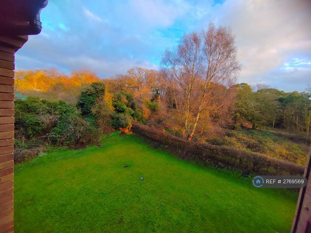 Beautiful View Towards Mousehold