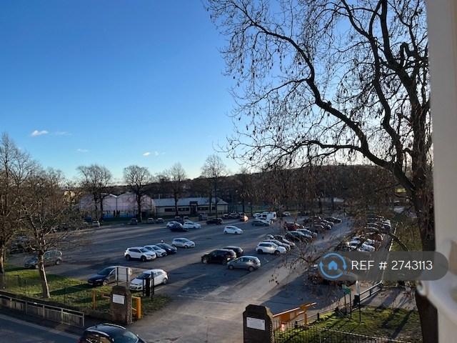 View From Attic Over Hillsborough Park