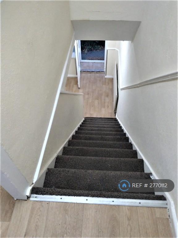 Fresh Carpeted Stairs From Up To Down View