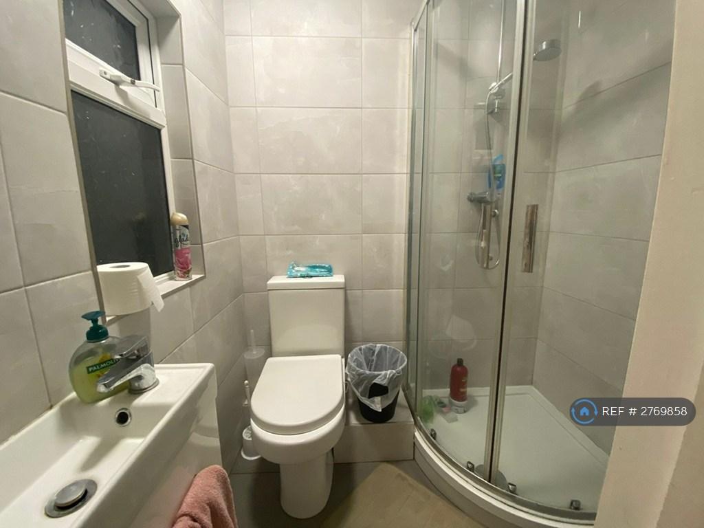 Bathroom Downstairs Pic 2