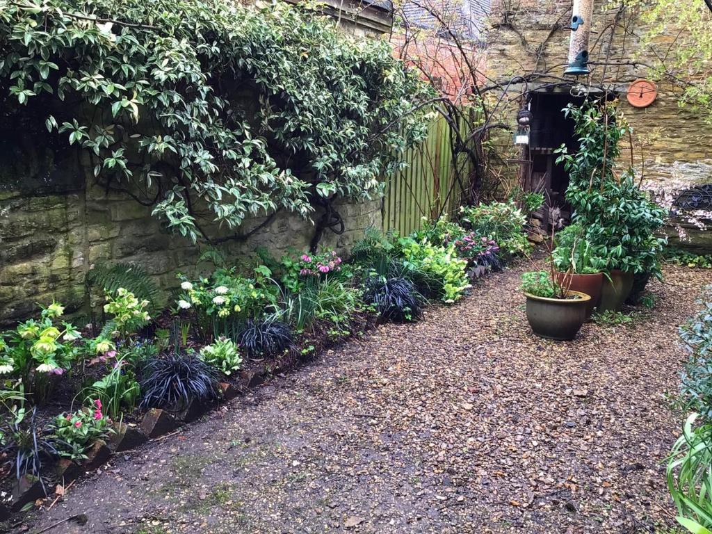 Garden 2.jpg