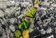Additional image 36 of Barten Meadow, 49 Whirlow Lane, Whirlow, S11 9QF