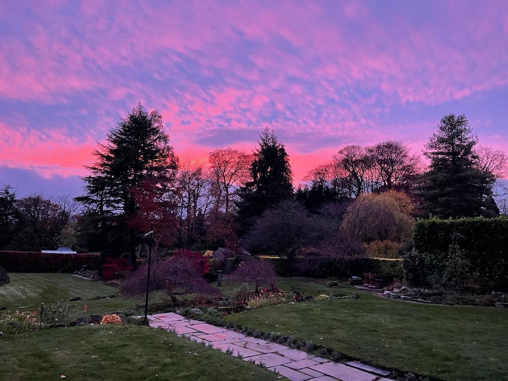 Vendors photo of Sunset November