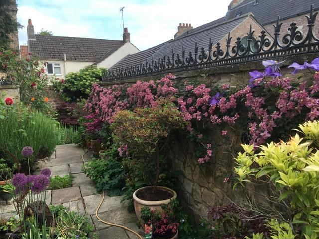 Deans lane garden 1.JPG