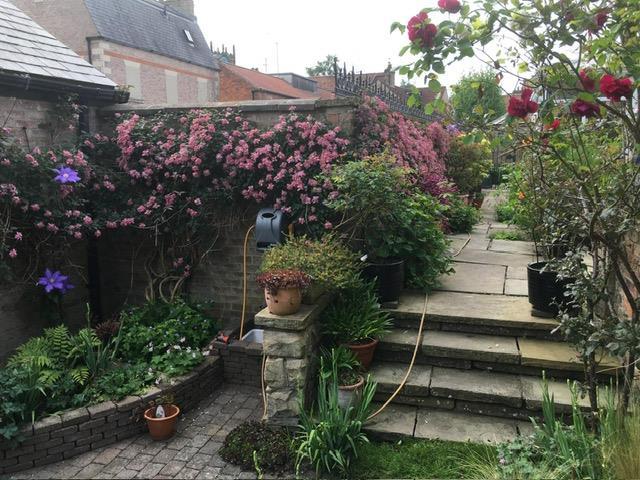 Deans lane garden 2.JPG