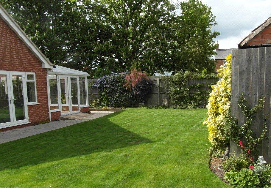 Garden In Summer
