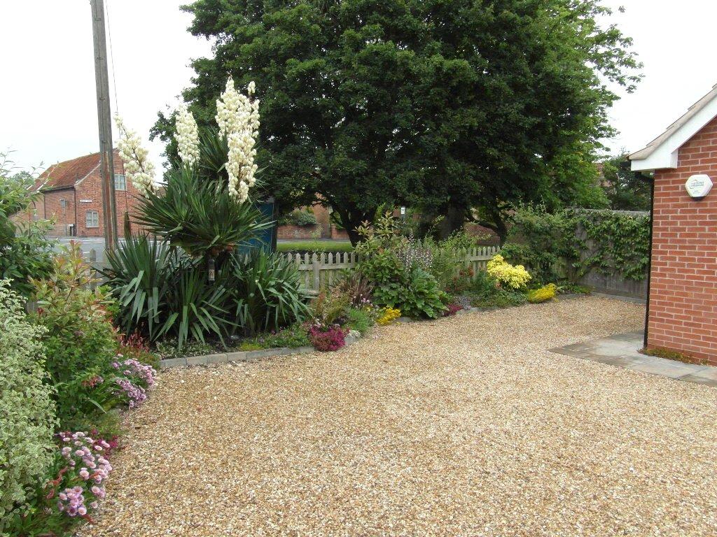 Garden In Summer