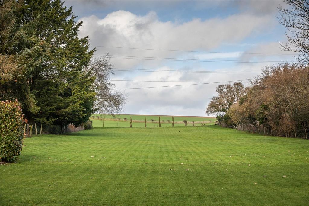 Lawn