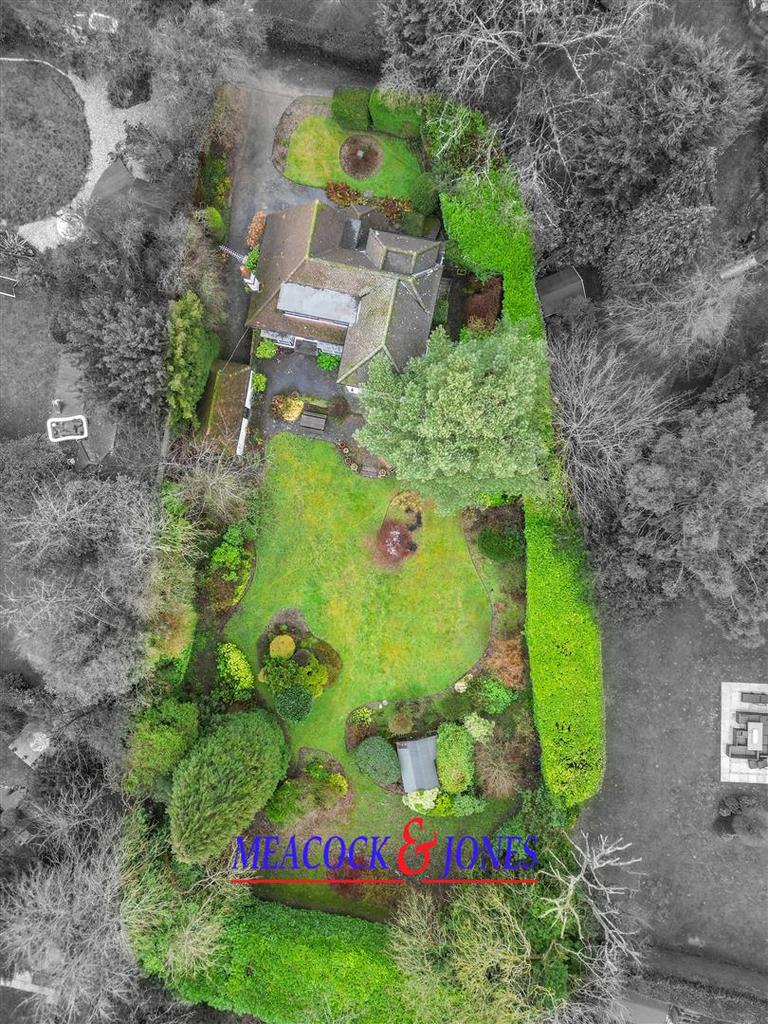 DJI 0959 copy 2.jpg