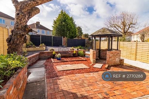 Back Garden