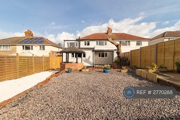 Back Garden