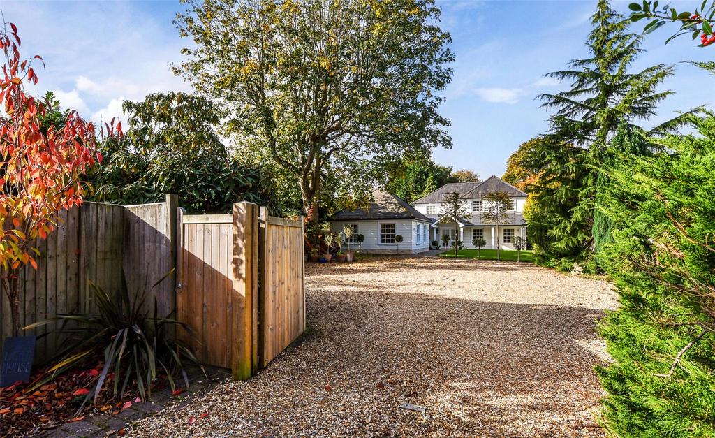 The Property