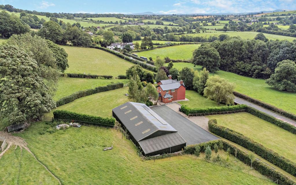 The Fron