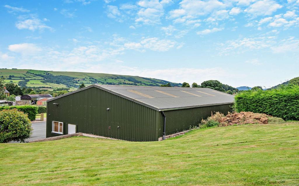 Shed