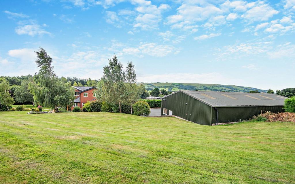 Behind Shed