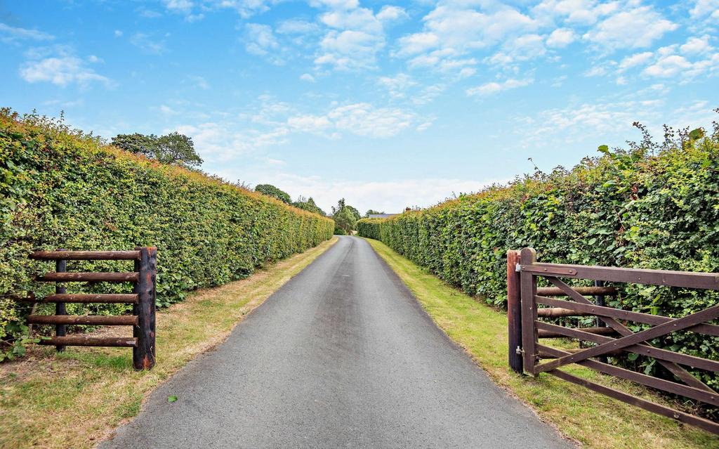 Drive &amp; Entrance