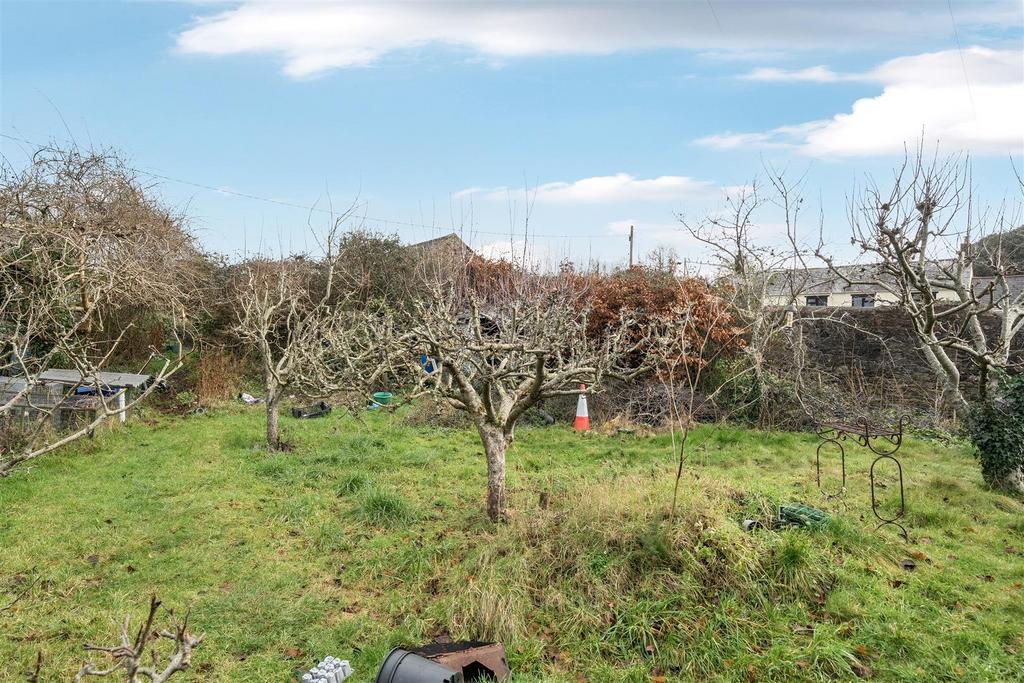 Orchard