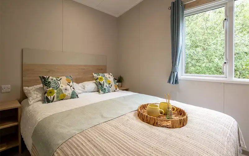 Dmc 200825 Victory 98 Web 802x505 F50 50