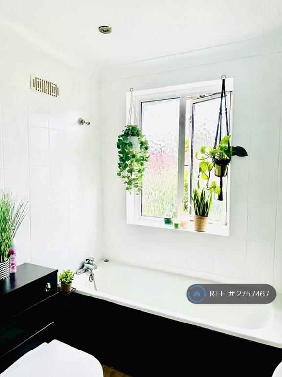 Bathtub
