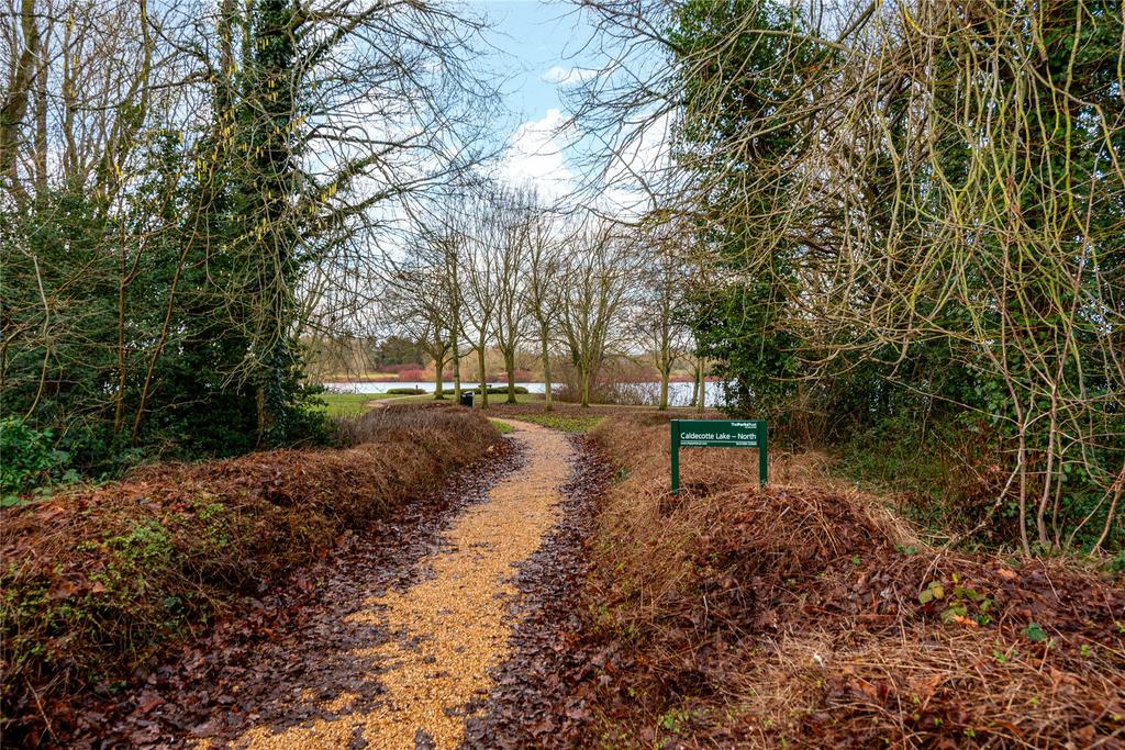 Footpath To Lake