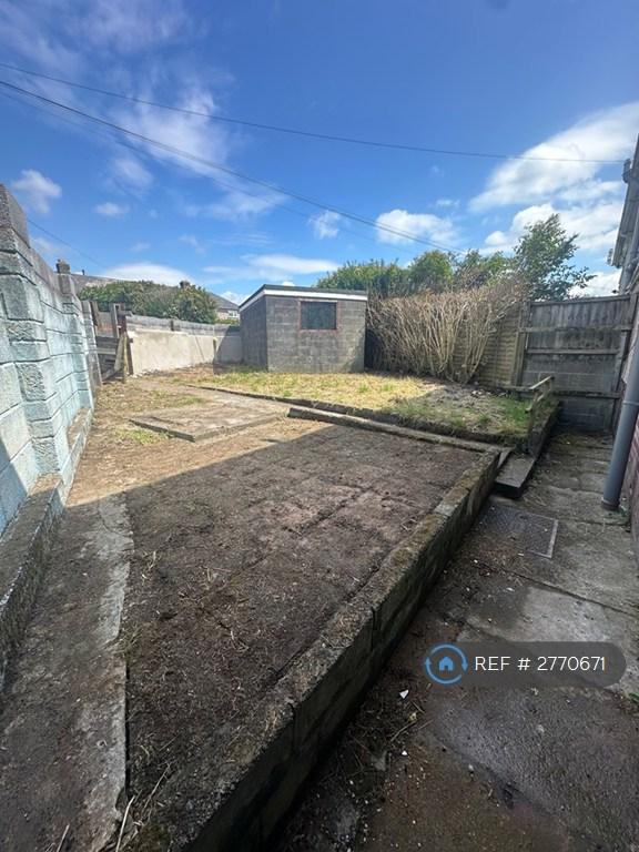 Back Garden