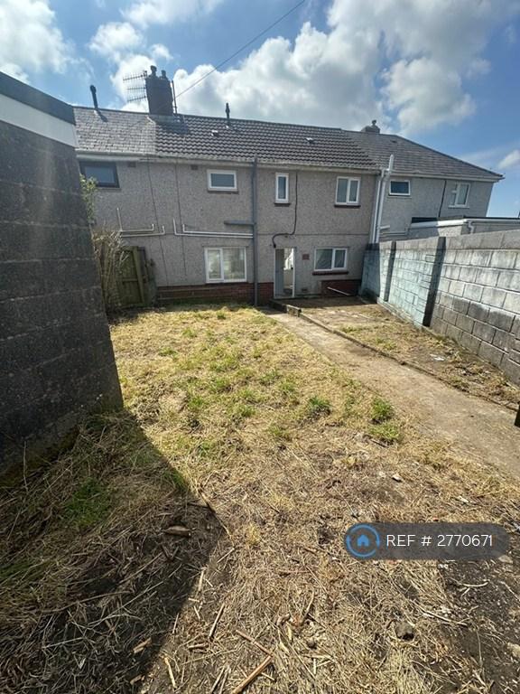 Back Garden