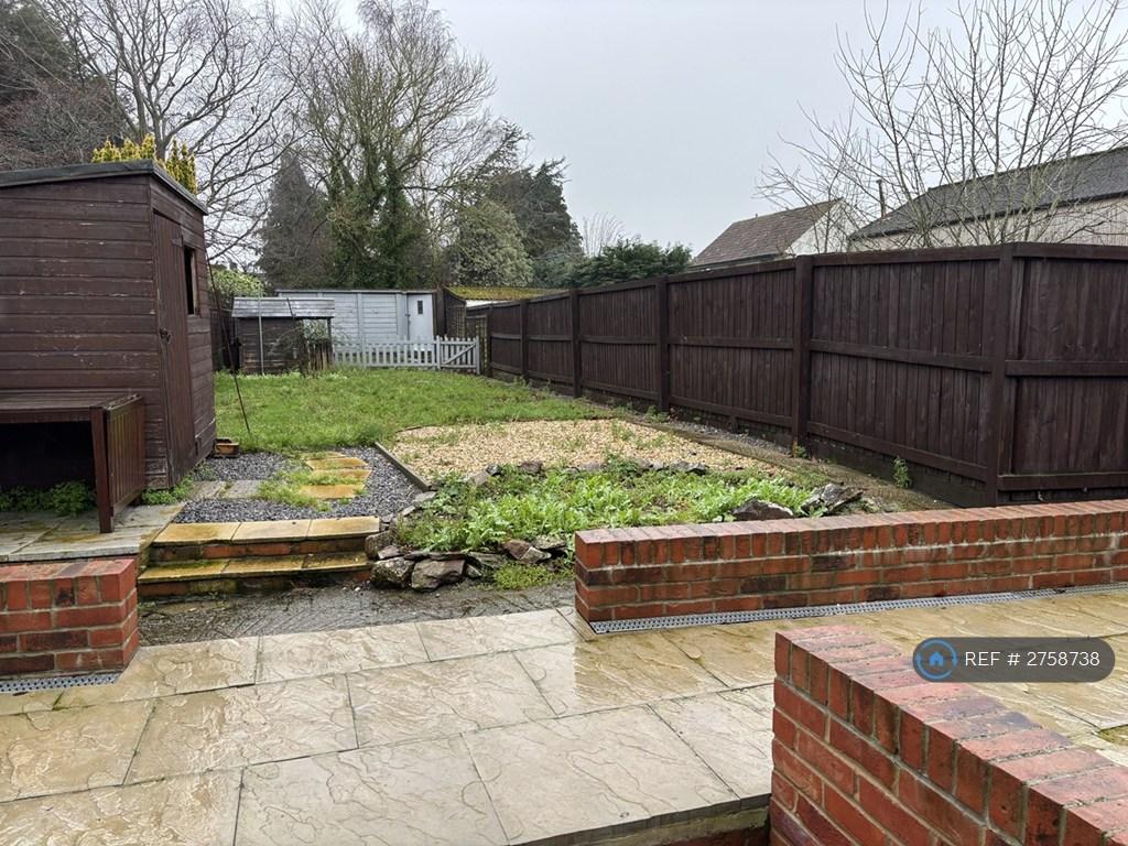 Back Garden