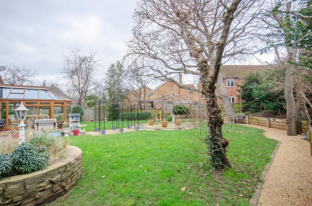 Garden pic 2.jpg