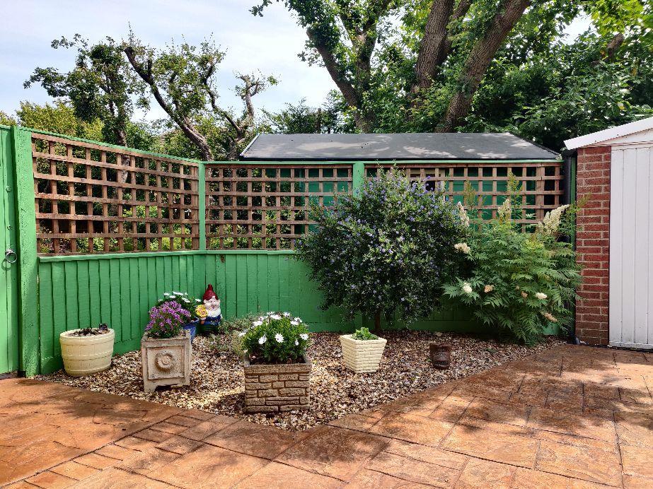 Garden (summer) pic 2.jpg