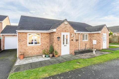 undefined, The Showfield, Northumberland NE47