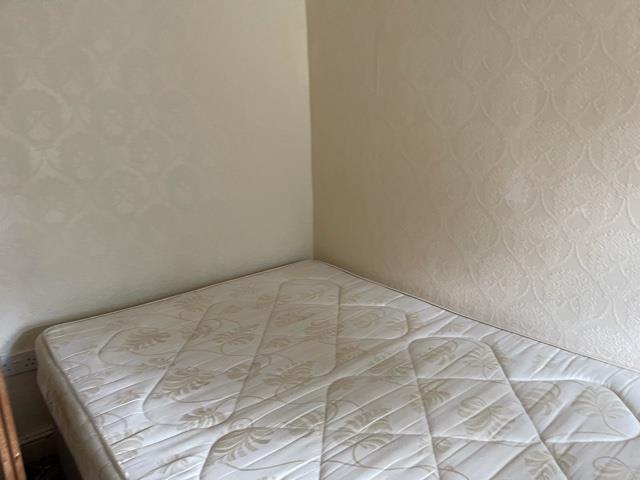 Image5.jpeg