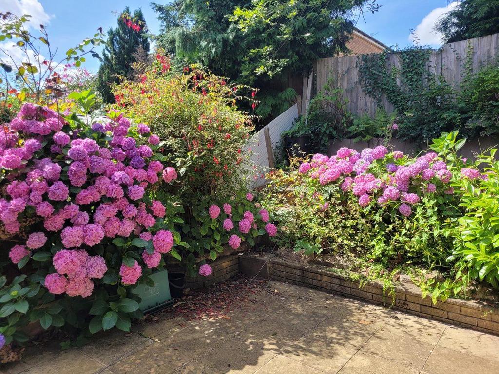 Garden.jpg