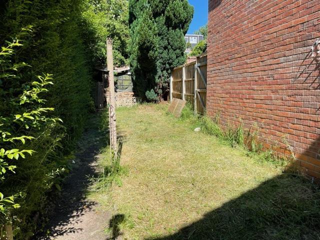 Image14.jpeg