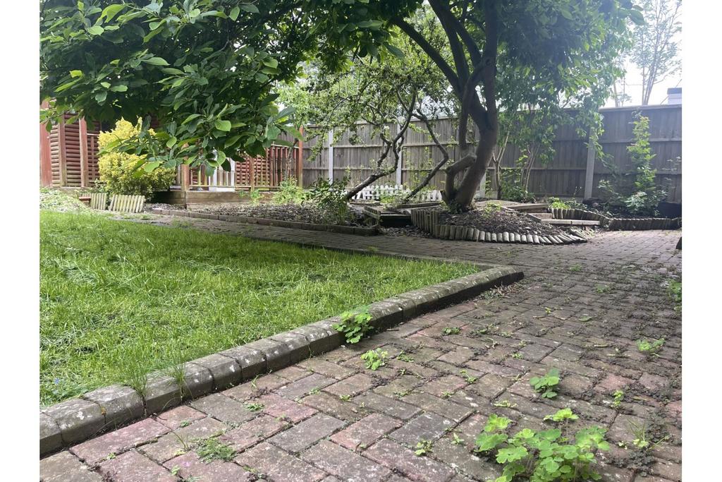 Mature Garden