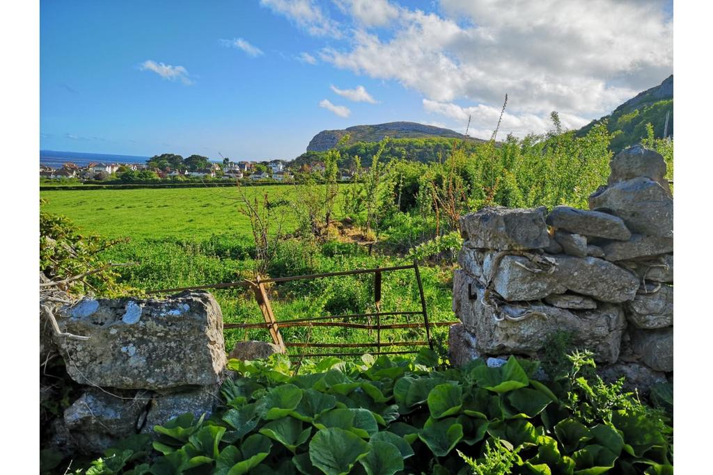 Surrounding Area