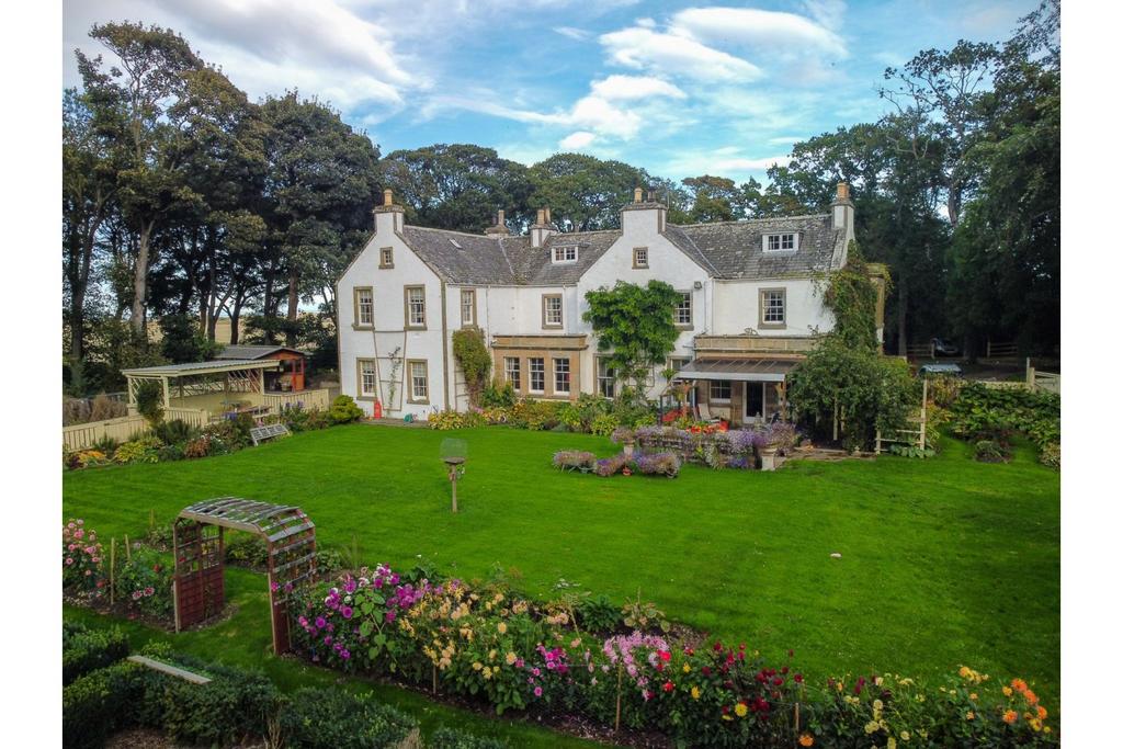 The Property