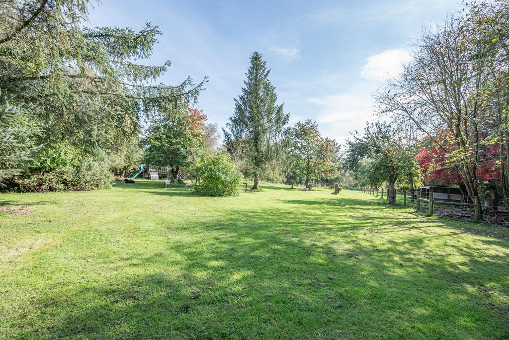 Grounds