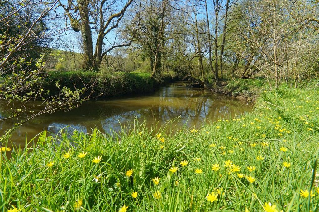 Nearby River