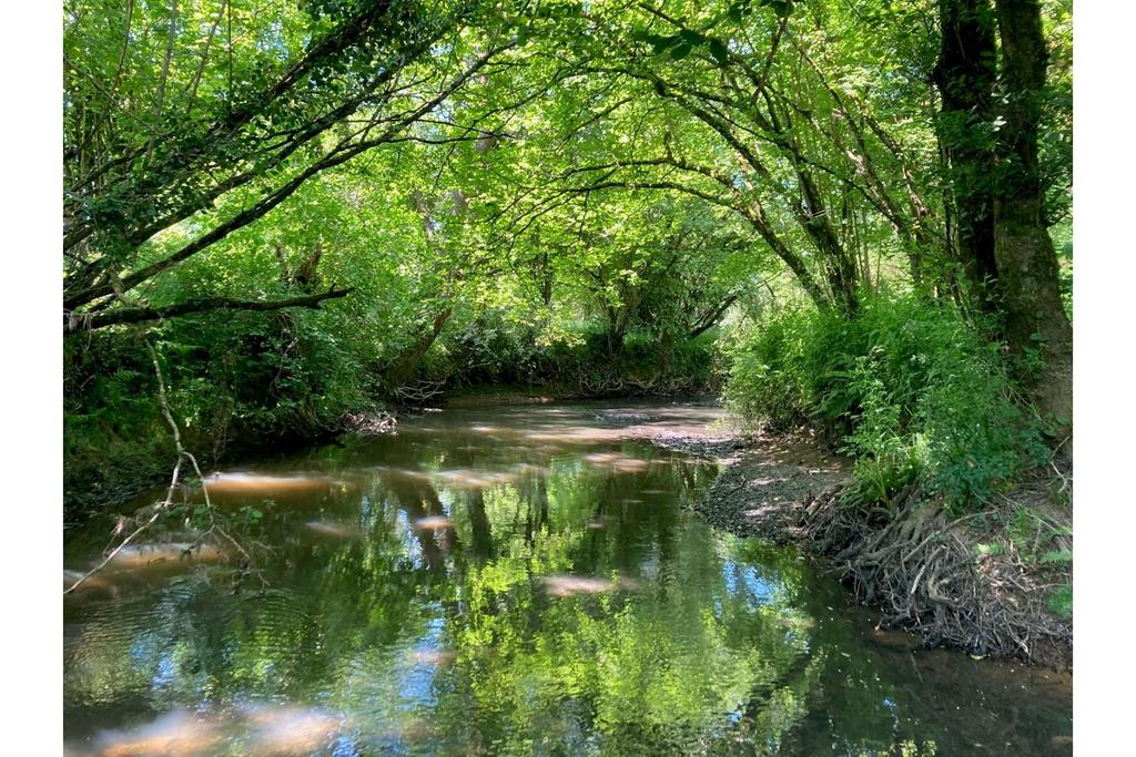 Nearby River