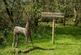 Additional image 22 of Pyworthy, Holsworthy, EX22