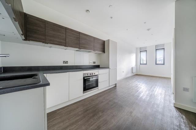 Kitchen/Living Ara