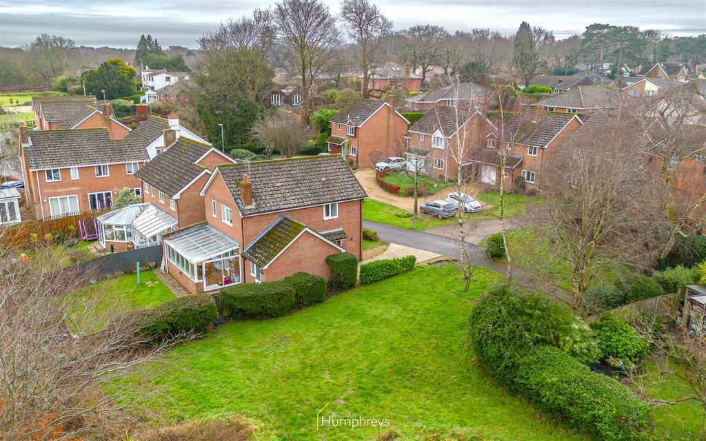 DJI 0273.jpg
